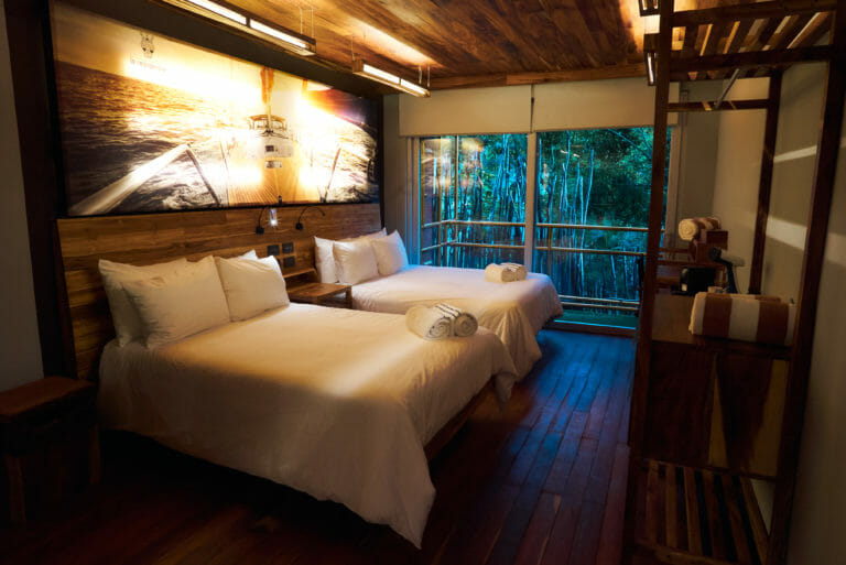 room with jungle view